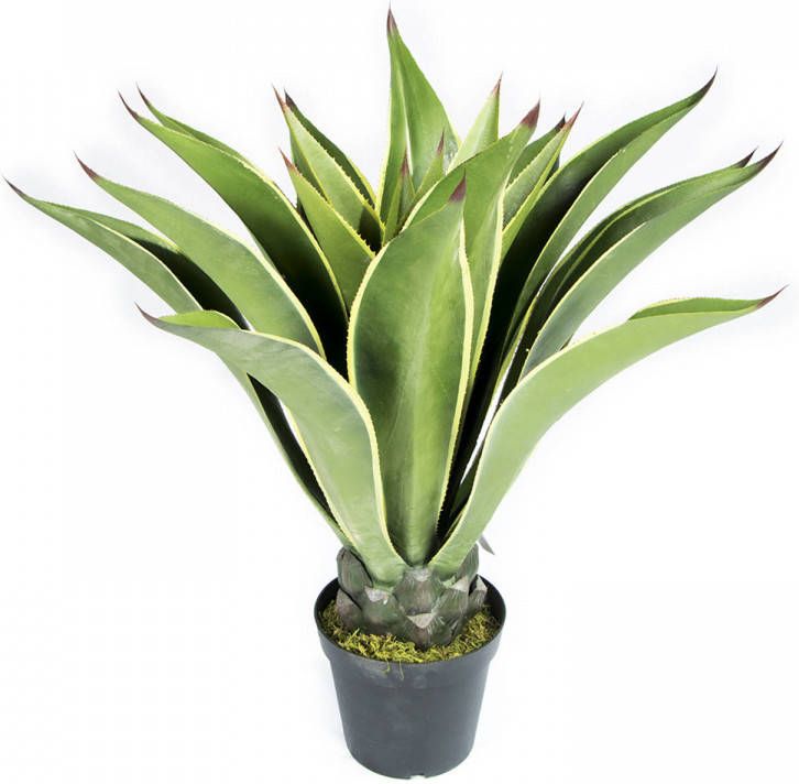 Intergard Kunstplanten Agave 98cm