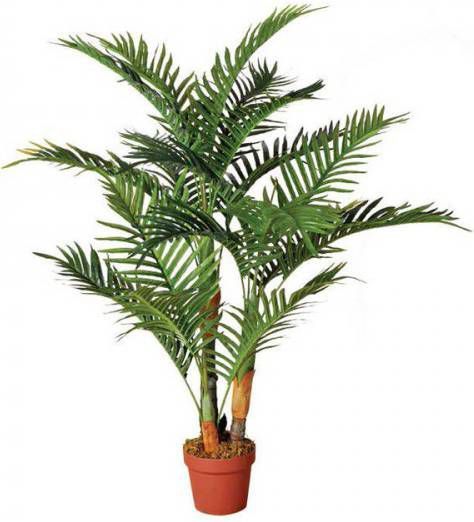 Intergard Kunstplanten Palm 120cm