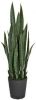 Intergard Kunstplanten Sansevieria Vrouwentong 105cm Groen online kopen