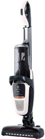 Electrolux Pure F9 PF91 ALRGY Zakloze Steelstofzuiger