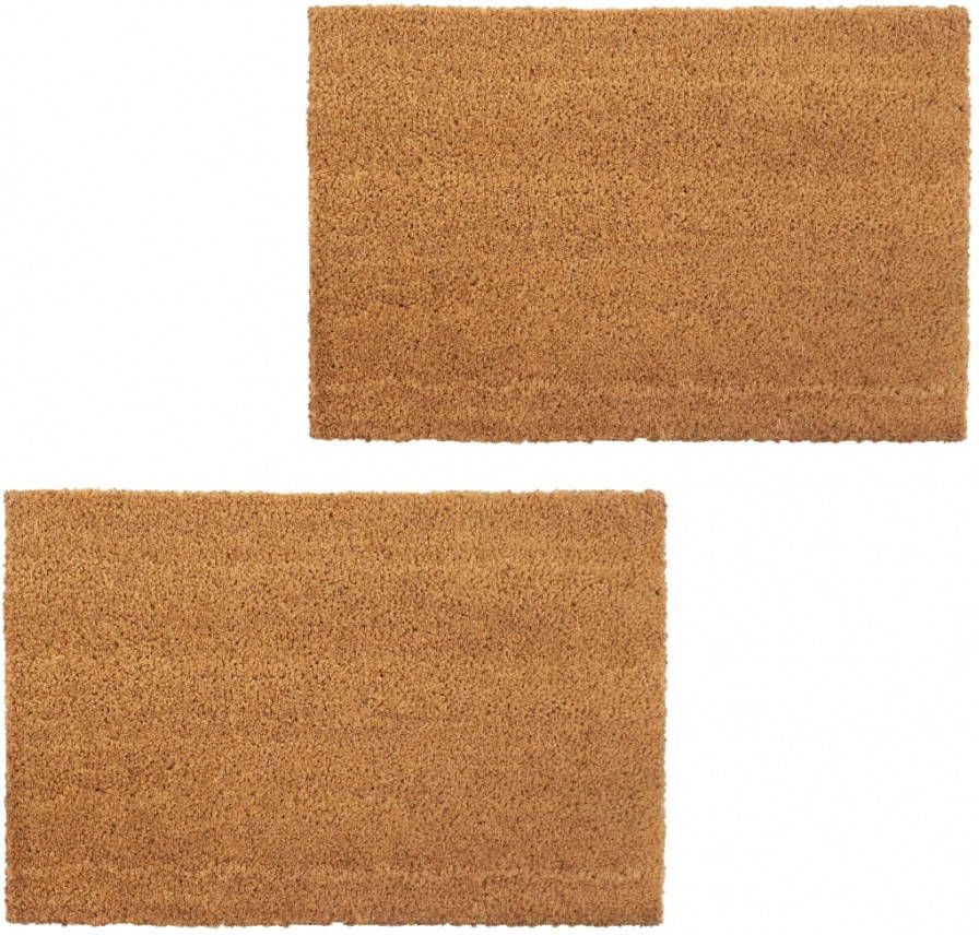 VIDAXL Deurmatten 17 mm 50x80 cm kokosvezel natuurlijk 2 st